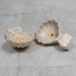 Marble Baptismal Font in the Shape of a Shell – 20th Century